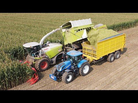 Claas Jaguar 980 Field Shuttle - Loonw. De Bruyne - mais hakselen