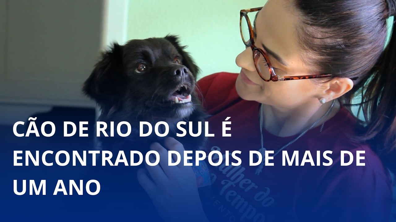 Cão de Rio do Sul é encontrado depois de mais de um ano