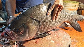 Amazing Big Katla Fish Cutting Skills In Fish Market | Fish Cutting Skills