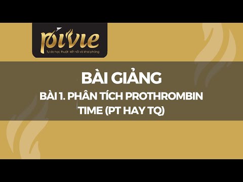 Análise do Tempo de Protrombina (PT ou TQ)