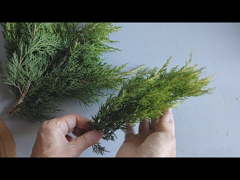 5 IDEAS RÁPIDAS y FÁCILES con RAMAS de PINOS ♻ RECICLAJE 🌼 ARTESANATO 💕MANUALIDADES 😍 Arte en casa