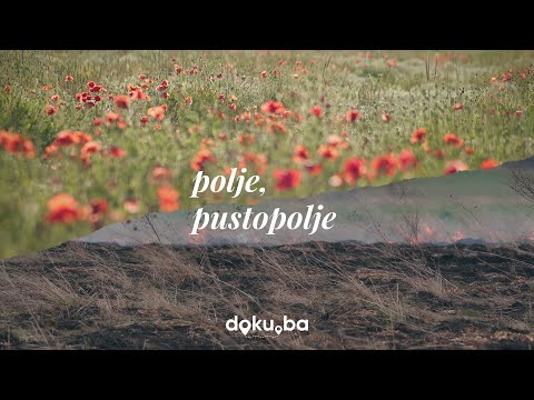 POLJE, PUSTOPOLJE [dokumentarni film]