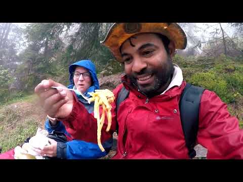 ඔය බැල්ම ඔය කැල්ම  - Oya balma - Travel impressions.