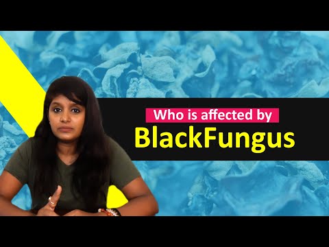 Everything You Need To Know About Black Fungus | Dayavittu Gamanisi | Rapid Rashmi |
