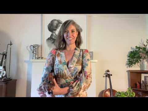 Danger Zone  violin 4