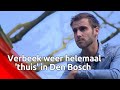 Danny Verbeek hoopt voetbalplaatje in zijn Den Bosch compleet te maken met eredivisievoetbal