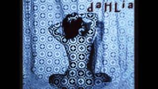 Blue Dahlia - Tether