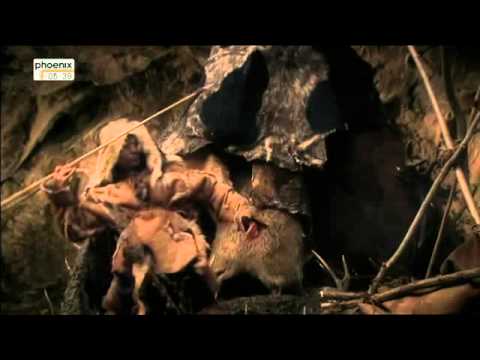 Code der Götter   Botschaften aus der Eiszeit Doku