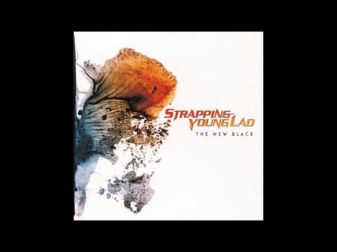 Strapping Young Lad - 