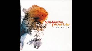 Strapping Young Lad - 