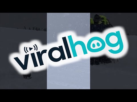 Penguin Decides to Join Expedition || ViralHog