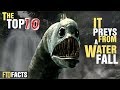 Top 10 Scary Mythological Creatures From South Africa