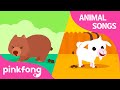 Peek-A-Poo, Peek-A-Boo! | Animal Songs | Learn Animals | Pinkfong Animal Songs for Children
