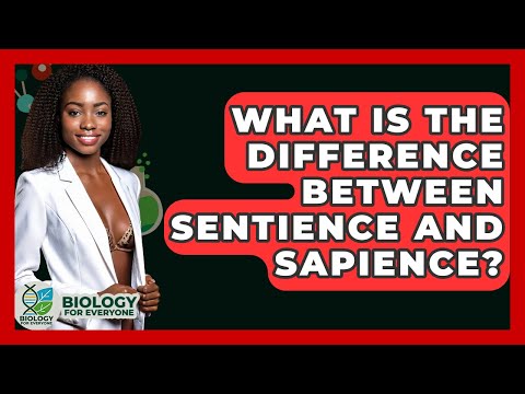 What Is The Difference Between Sentience And Sapience? - Biology For Everyone