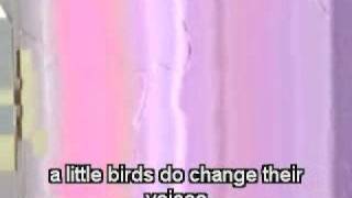 Peggy Gordon from The Proposition