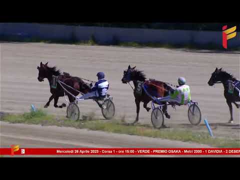 I Corsa del 26 aprile 2023 - 4 Anni F - Metri 2000