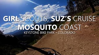 2022 Mosquito Coast - a great blue flow tech trail.