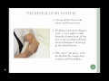 Reflexology The Unique Technique To Wellbeing With Patricia McPherson