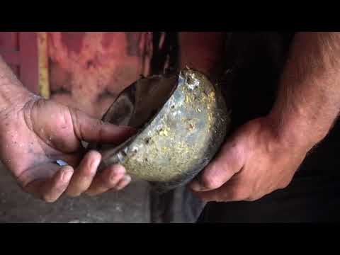 Curatare copite la manza rasa Semigreu Romanesc cu Luci Potcovaru | Luna de Sus, Cluj | 2018