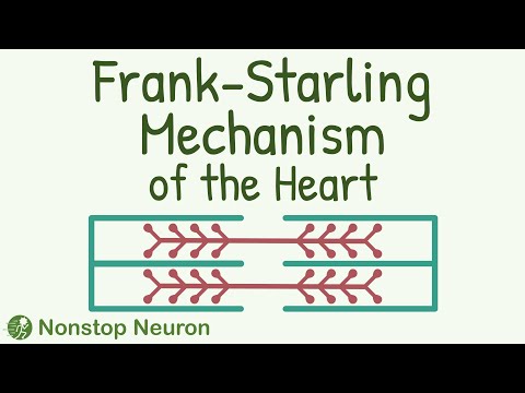 This is HIDDEN TALENT of Your Heart: Frank Starling Mechanism || Length-Tension Relationship