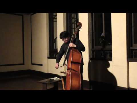 Hideo Ikegami Contrabass Solo Improvisation