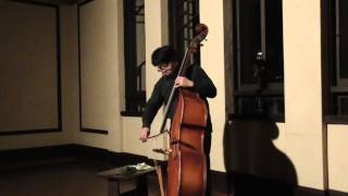 Hideo Ikegami Contrabass Solo Improvisation