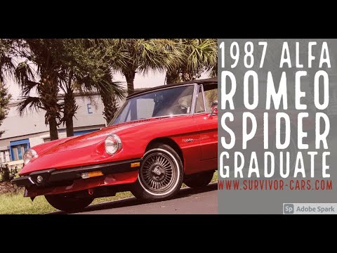1987 Alfa Romeo Spider (CC-1386771) for sale in Palmetto, Florida