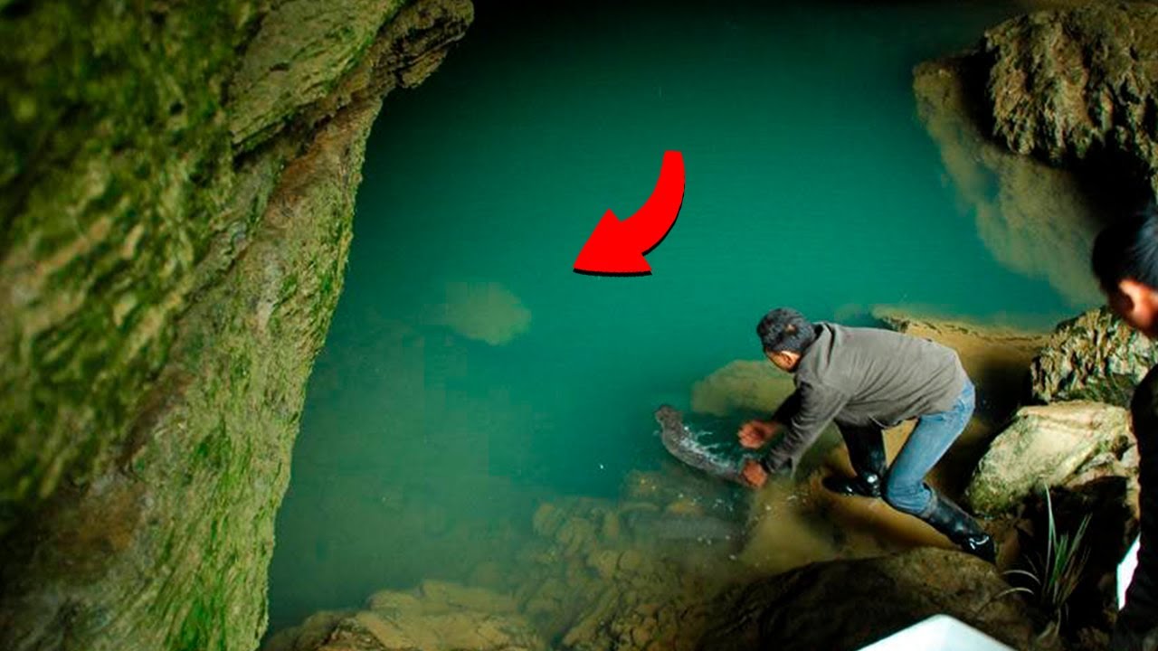 Uma Criatura Antiga de 200 Anos Tem se Escondido por Anos em uma Cave