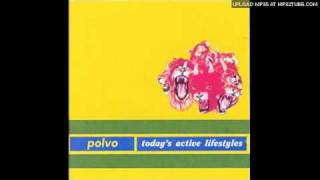 Polvo - Thermal Treasure