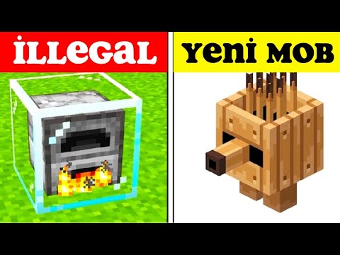 Unbelievable Minecraft Facts You Didn't Know!