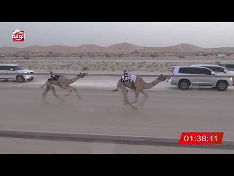 ش 2 (صايب) لـ سهيل سالم بن سهيل الخييلي 3:08 ، شارة الشيخ طحنون 2026/7/31 فطامين الخزنة
