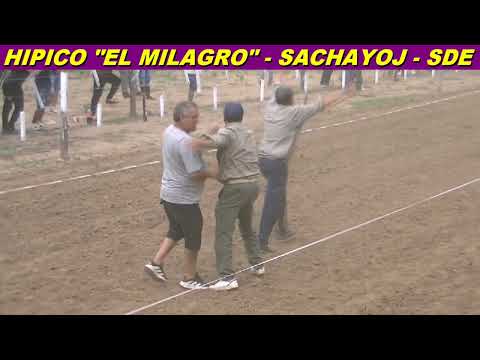 GENITOR en HIPICO "EL MILAGRO" (SACHAYOJ-SDE 12-04-26)