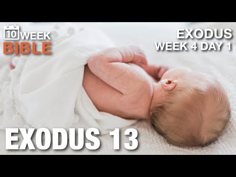 Consecrate the Firstborn | Week 4 Day 1 | Exodus 13