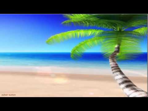 Ocean Waves on a Tropical Beach   Sleep Study Spa Relaxation