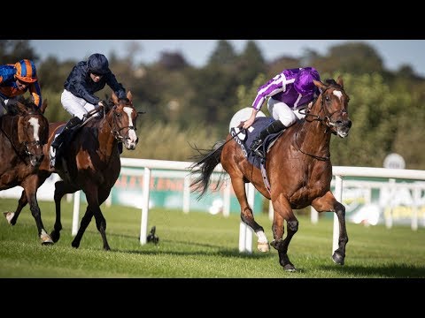 Irish Champion Stakes (G1)  2019