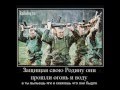 Внутренние войска МВД РФ 