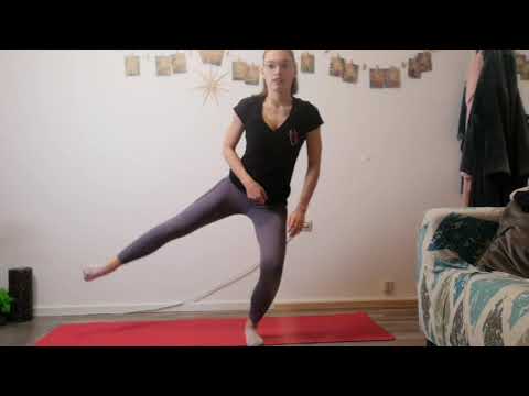 Fitness - Weihnachtsmann Workout