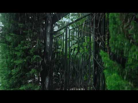 Heavy Rain on Leaves 48 Hours - SLEEP FAST Rain Sounds