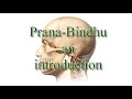 Prana Bindu - an Introduction