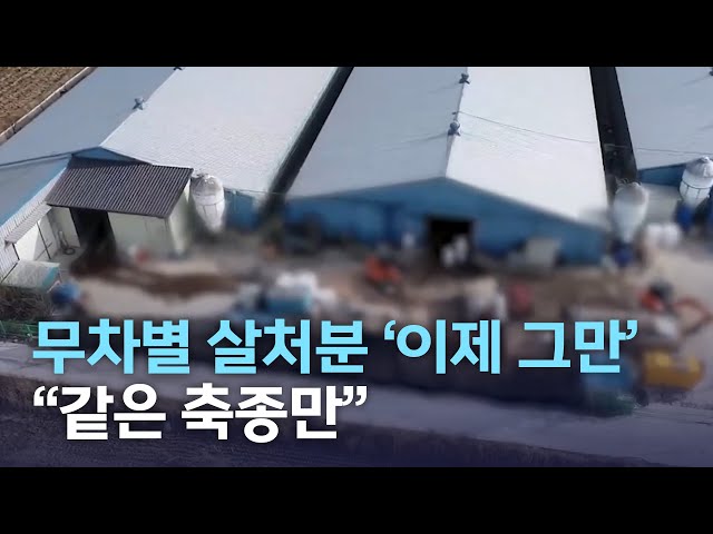 무차별 살처분 '이제 그만'..