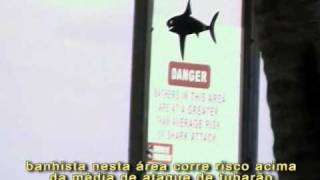 preview picture of video 'Ataque de Tubarão Boa Viagem , Fishing Shark na Praia de Boa Viagem'