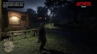 playing rdr2 online and starting at level 0?!?!