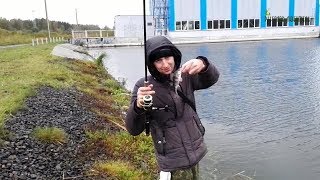 Когда можно ловить окуня в беларуси