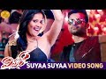 Winner Telugu Movie Songs Suyaa Suyaa Video Song Sai Dharam Tej Anasuya Rakul Preet