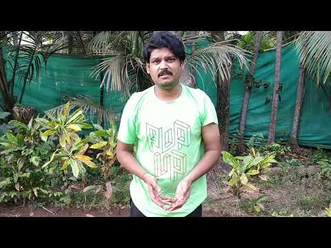 Tushar Digambar Joshi Poor Father audition