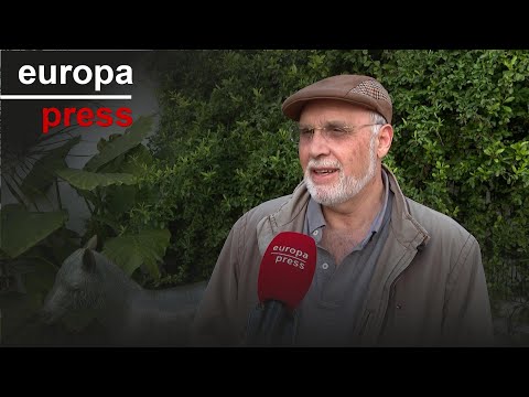 El pino de la corona. Platero y yo. Por Yuri Meza Ramírez