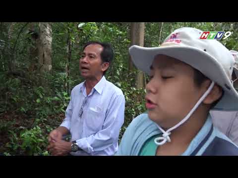 DLCS_Khám phá vườn quốc gia Lò Gò Xa Mát Tây Ninh