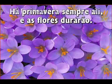 548   Há um país de eterna luz