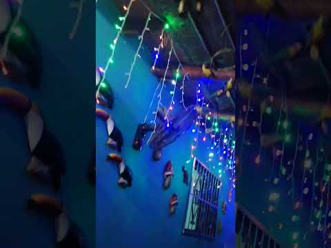 Feliz día Virgencita azul de Caacupé 🙏🏻#cordillera #virgenmaria #graciasgraciasgracias #gratitude