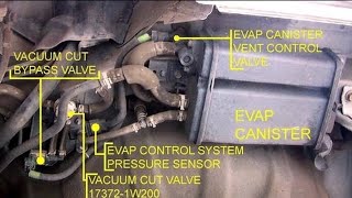 Evap flow diagram 4th gen nissan maxima